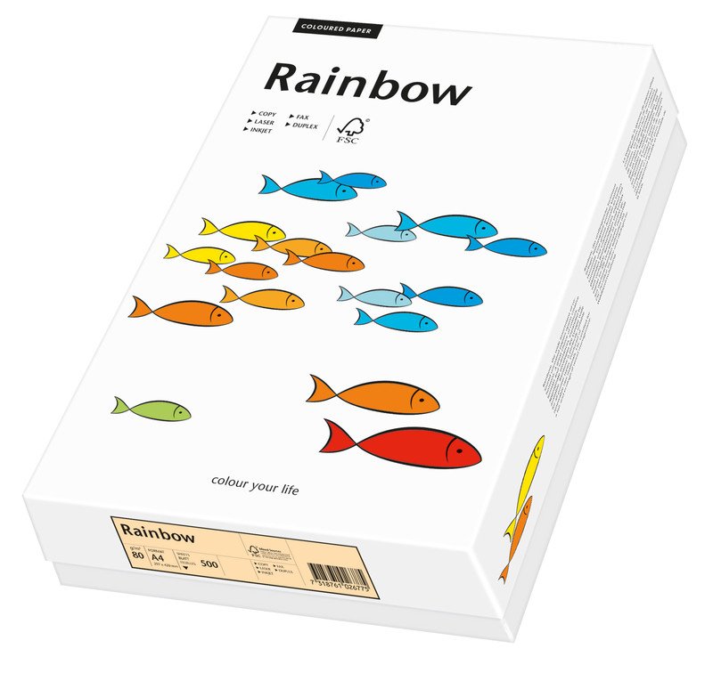 Rainbow A4 80gr lachs à 500 Pic1