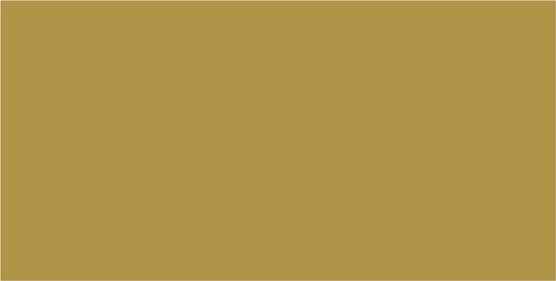 Folia Zeichenpapier 50x70cm 130gr 67/100 65 gold matt Pic1