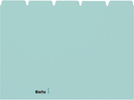 Biella guides neutre bleu A5 oblong Jeux de 25 Pic1