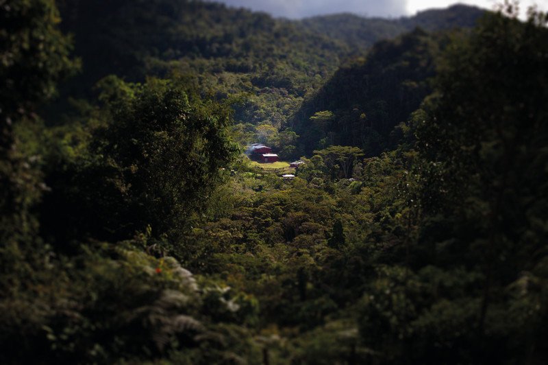 Tropical Mountains Café en grains Angelito Pic4