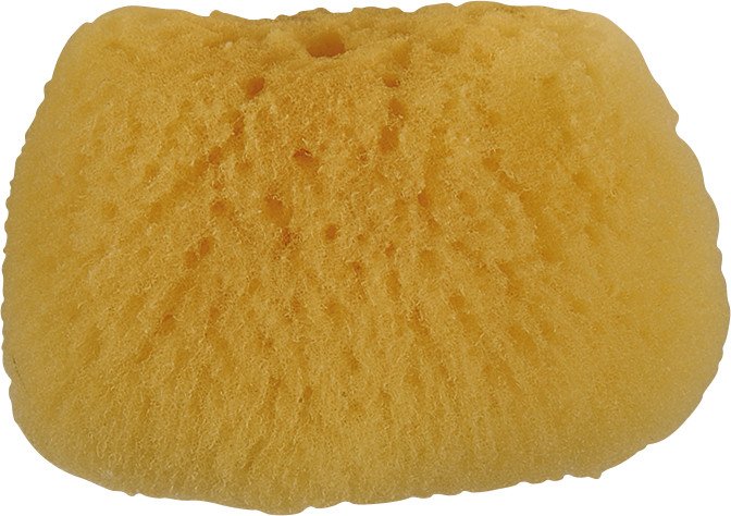 Zimocca éponge naturelle No. 5, Ø ca. 4.5cm, pores fins Pic1