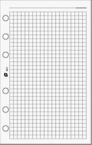 Succes Standard papier à notes blanc quadrillés Pic1