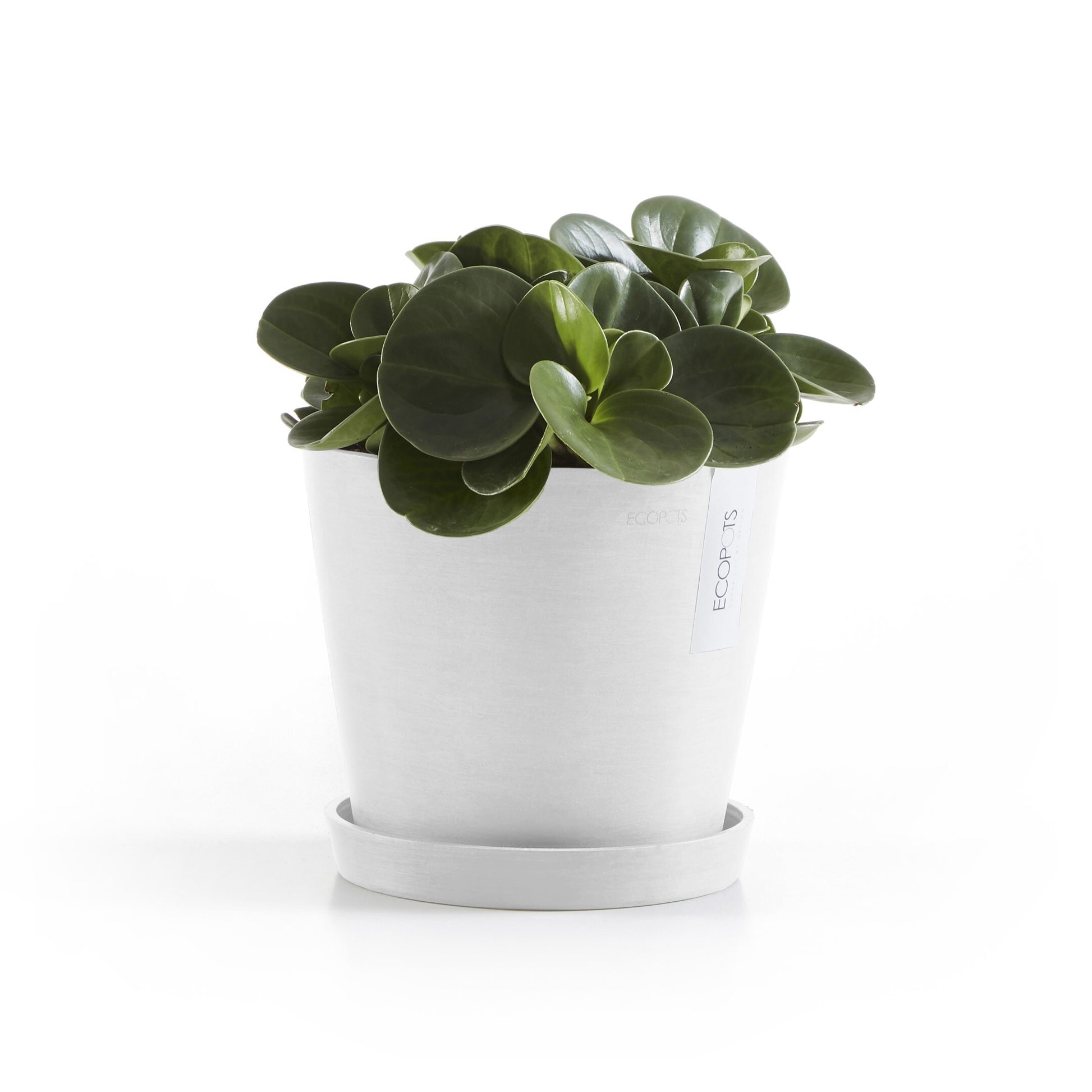 Ecopots Unterteller – Ø 20 × 2,5 cm – Recycling-Kunststoff, Weiss