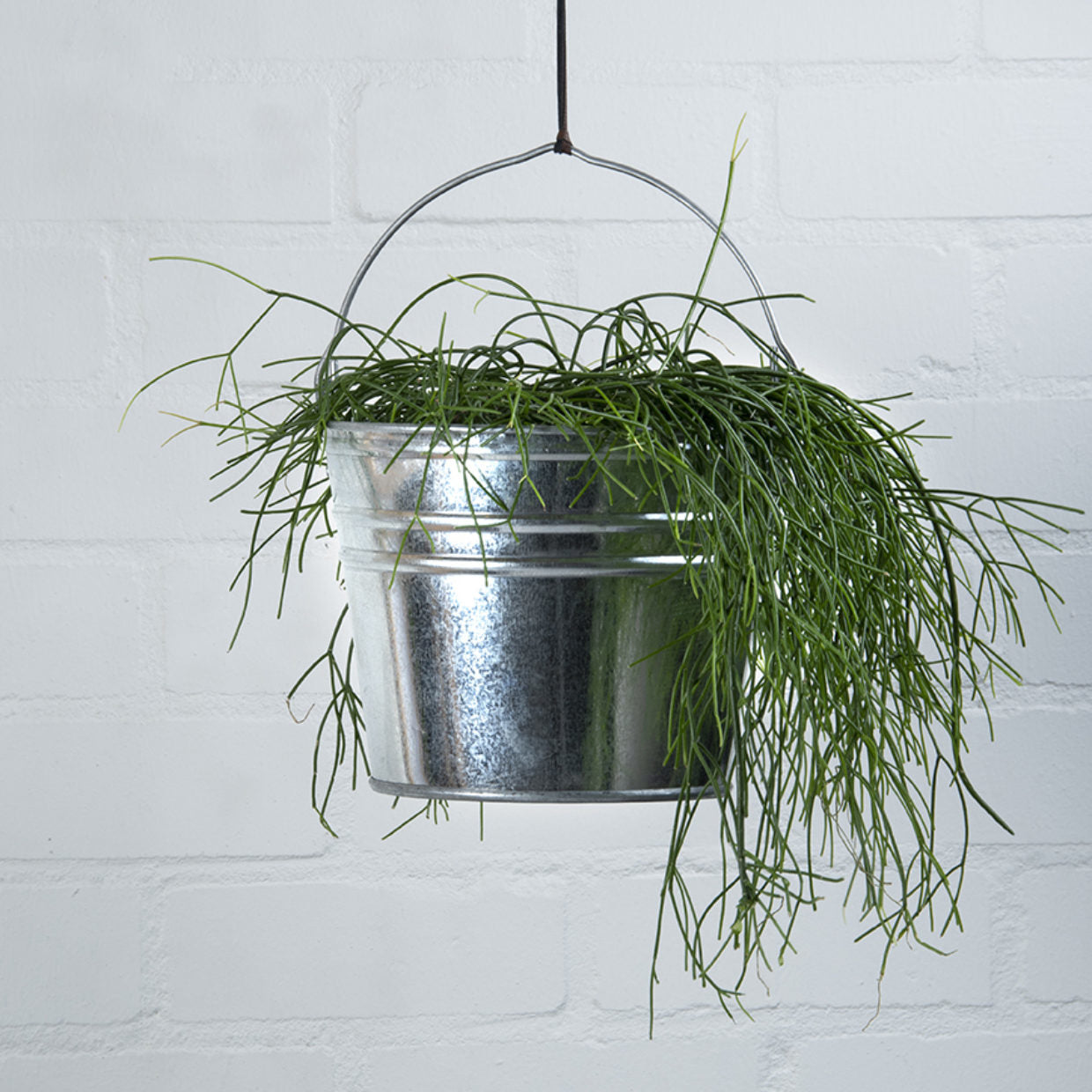Esschert Design Putzeimer Zinkeimer M – 6,9 l – Zink – Silber