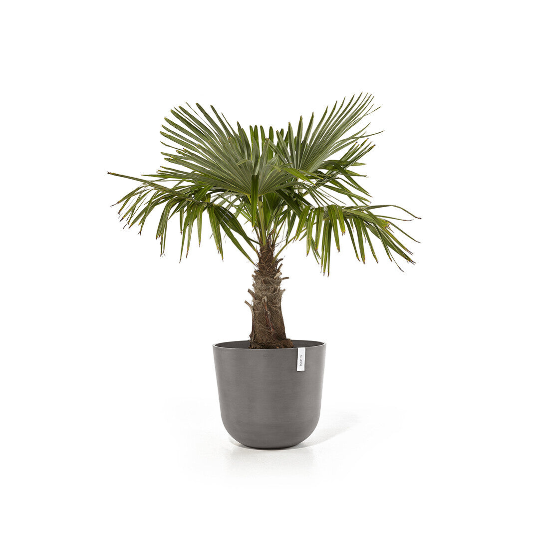 Ecopots Pflanzentopf – Ø 55 × 47,9 cm – Recycling-Kunststoff, Taupe