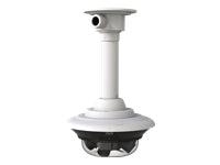 Cisco Pendant Head ATO – Outdoor