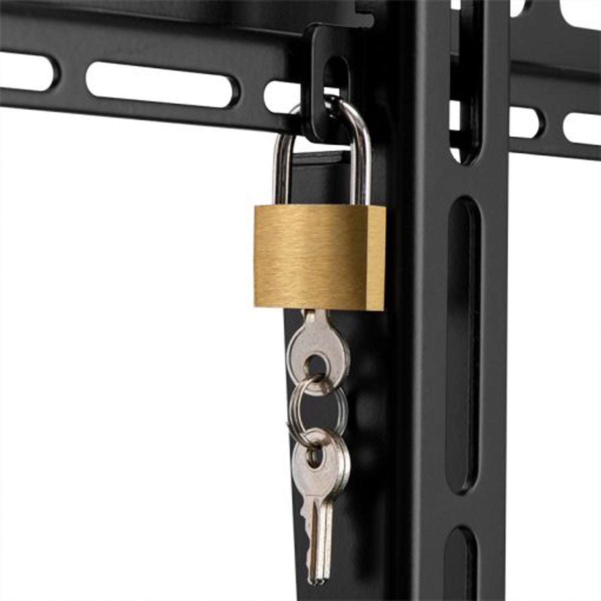 Hagor Bodenständer – Back-to-Back – 32–75" – VESA 75×75–800×600 – bis 125 kg, Höhenverstellbar – Elia SB