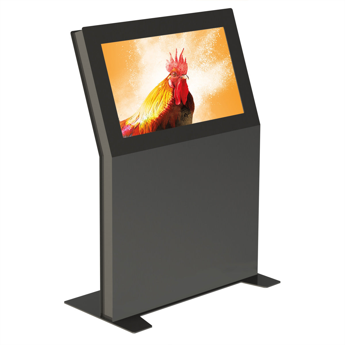 Hagor Bodenständer – 55" – VESA 200×200–600×400, Diebstahlsicherung – vis-it Welcome, Anthrazitgrau