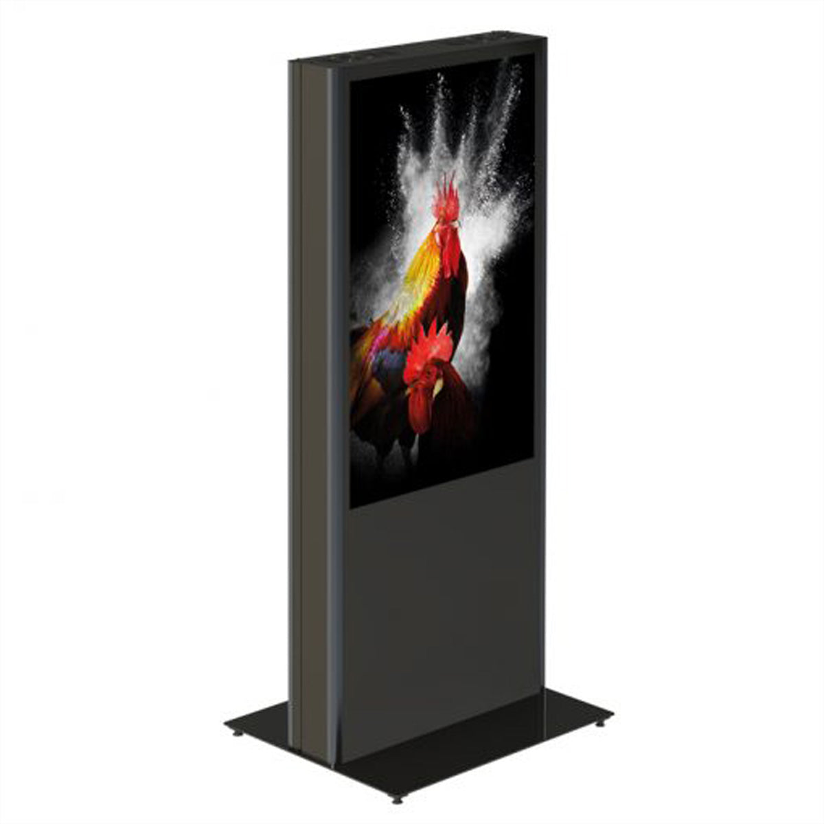 Hagor Digital Signage Stand für 49–55" Displays – zweiseitig, abschliessbar – Metall, Anthrazit
