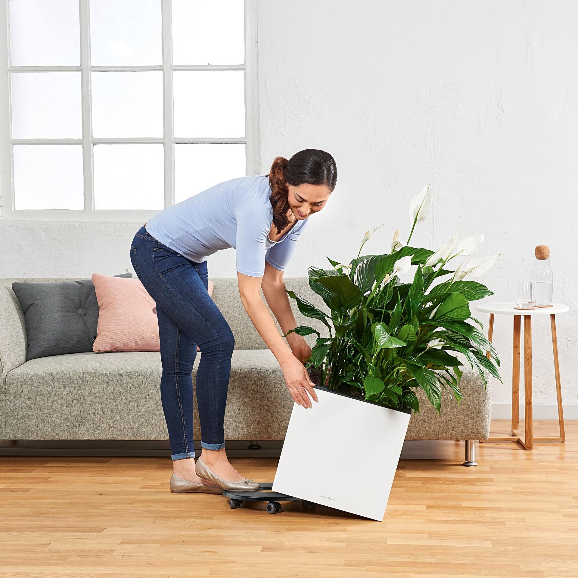 LECHUZA CANTO Premium Pflanzgefäss – 40 × 40 × 40 cm – Kunststoff, anthrazit