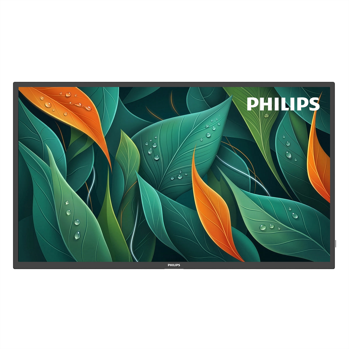 Philips 32BDL4512D/00 – 32", 1920 × 1080 (Full HD), IPS, LAN
