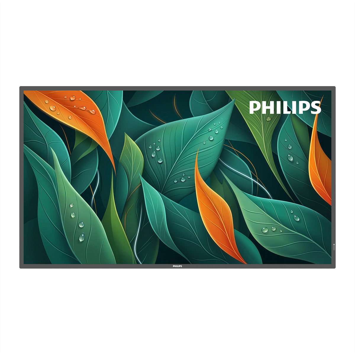 Philips 43BDL4512D/00 – 43", 3840 × 2160 (4K), IPS, USB-C, LAN