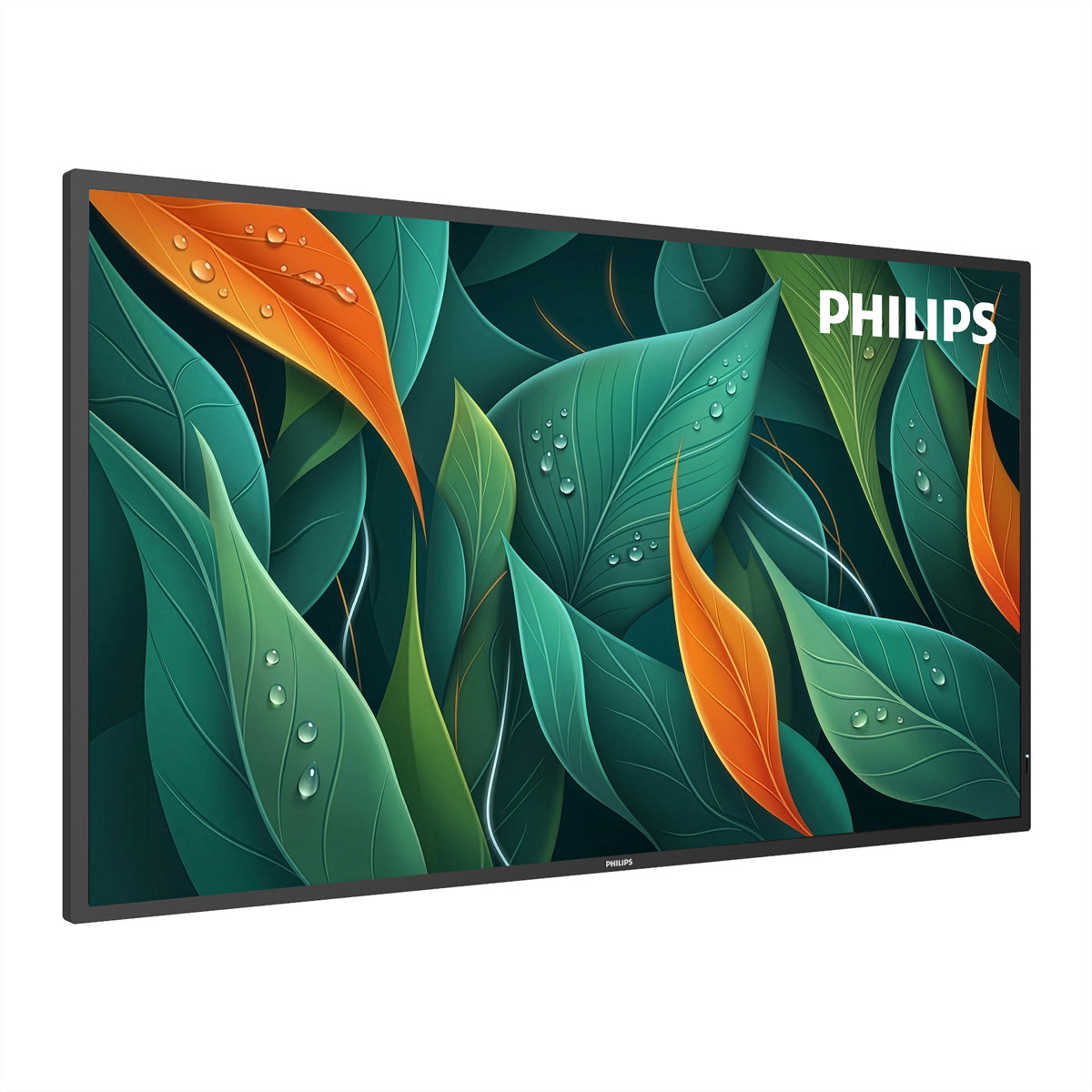 Philips 43BDL4512D/00 – 43", 3840 × 2160 (4K), IPS, USB-C, LAN