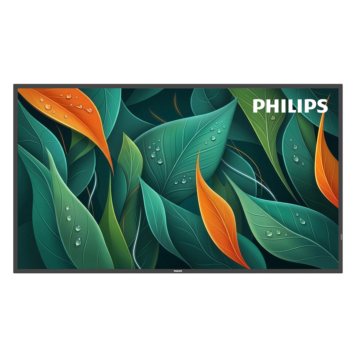Philips 50BDL4512D/00 – 50" 4K Ultra HD Signage-Display, 500 cd/m², 24/7, Schwarz
