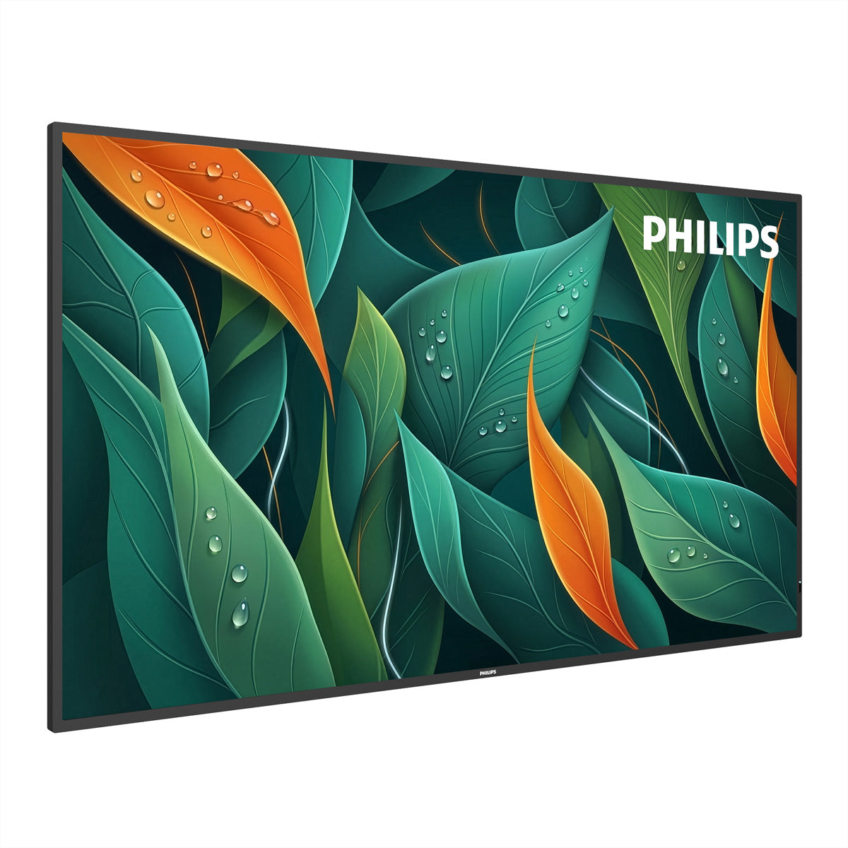 Philips 55BDL4512D/00 – 55" 4K Ultra HD Signage-Display, 500 cd/m², 24/7, Schwarz