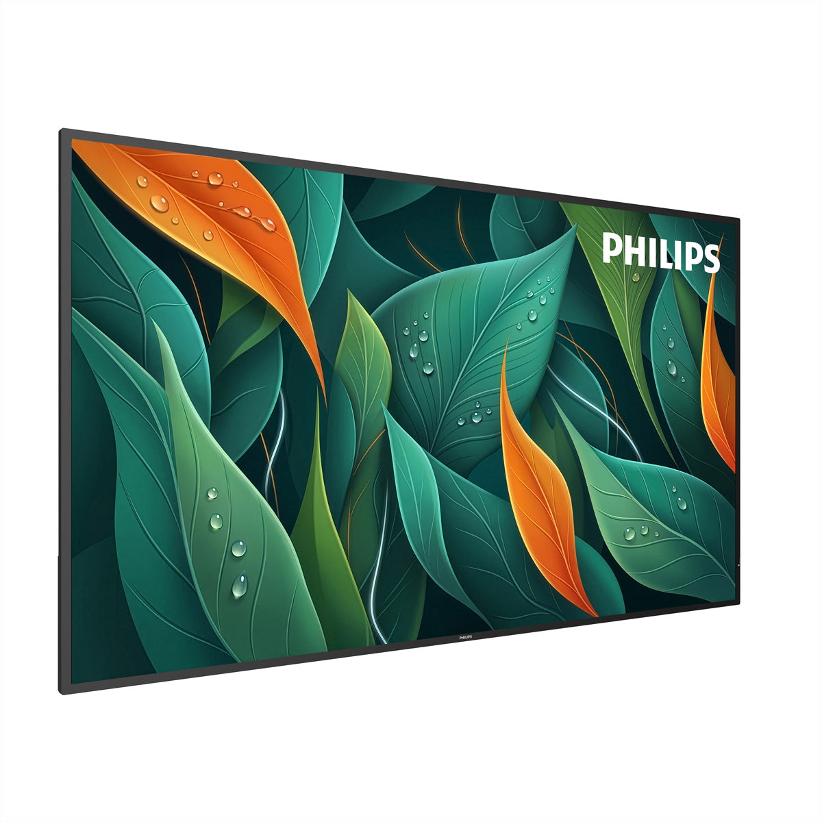 Philips 65BDL4512D/00 – 65", 3840 × 2160 (4K), IPS, LAN