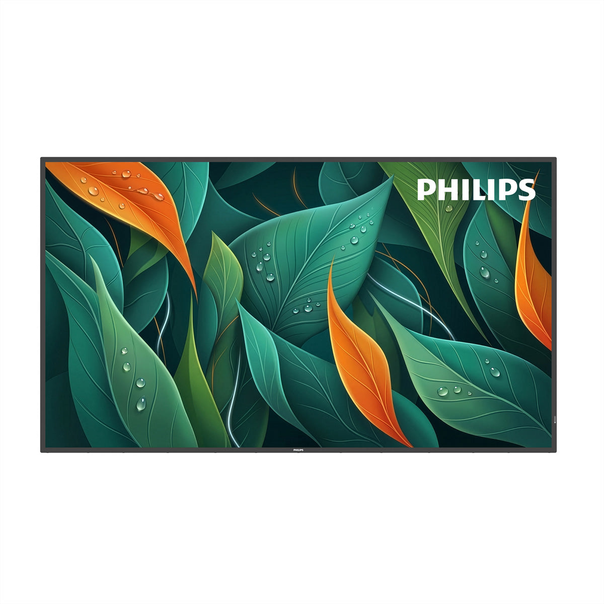 Philips 65BDL4512D/00 – 65", 3840 × 2160 (4K), IPS, LAN