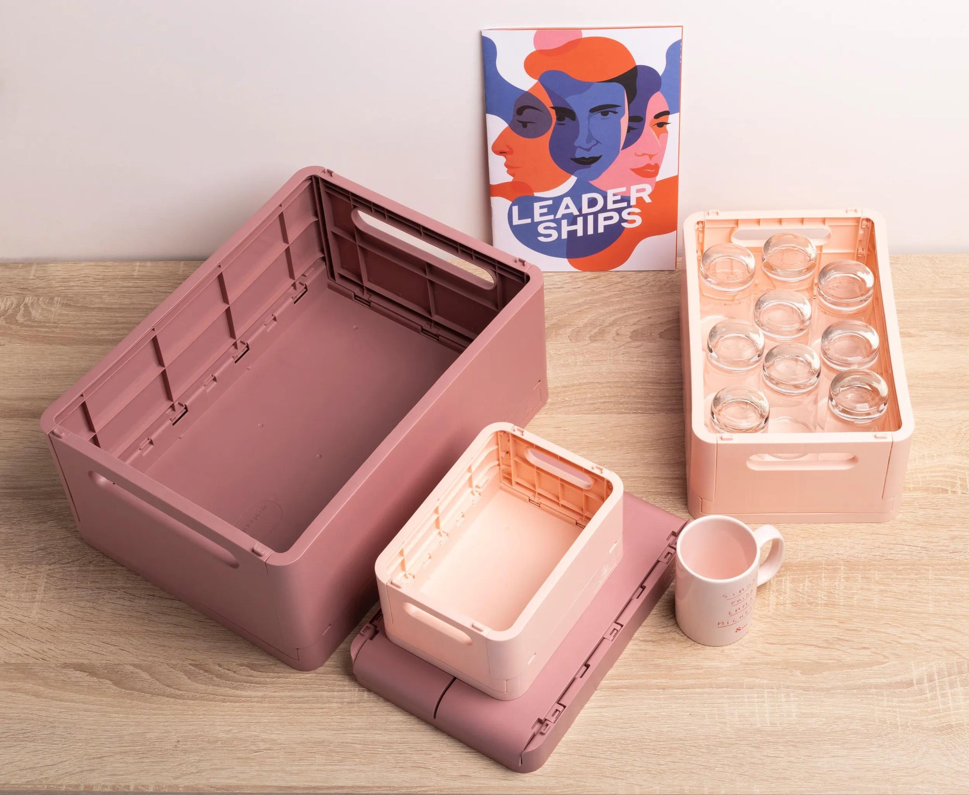 Exacompta Aufbewahrungsbox – für A6+, klappbar, hellrosa, Polypropylen (PP), B 188 × H 95 × T 138 mm