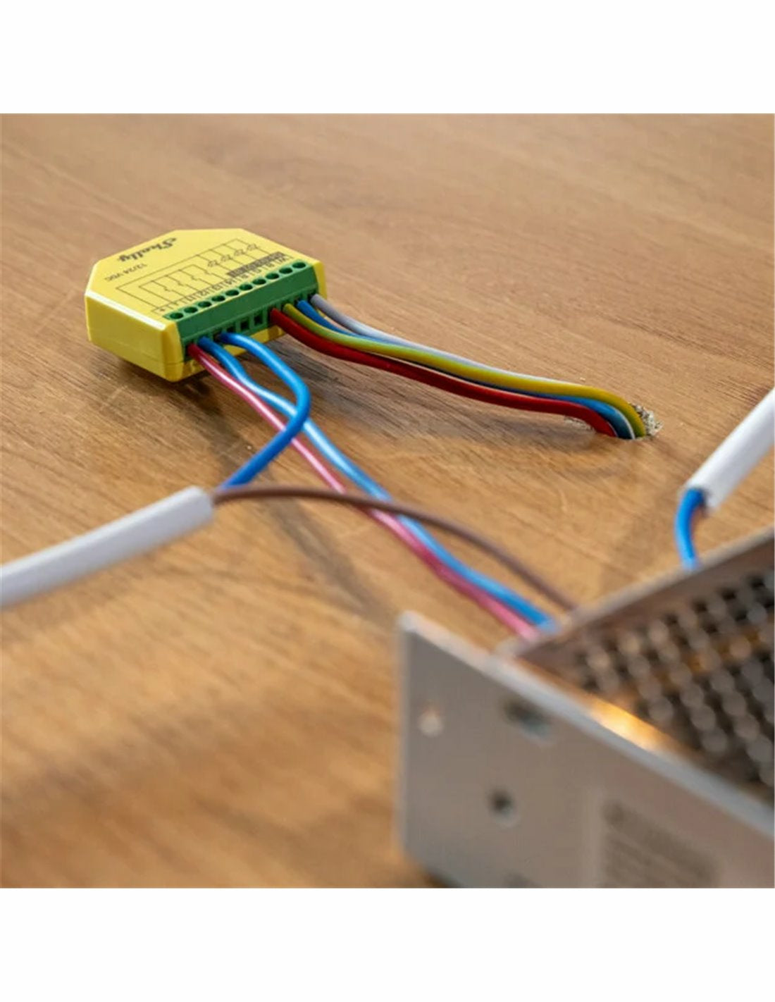 Shelly LED-Strip-Controller – RGBW, WLAN – für Alexa, Google Assistant – 12–24 V – 1 Stk. – Plus RGBW PM