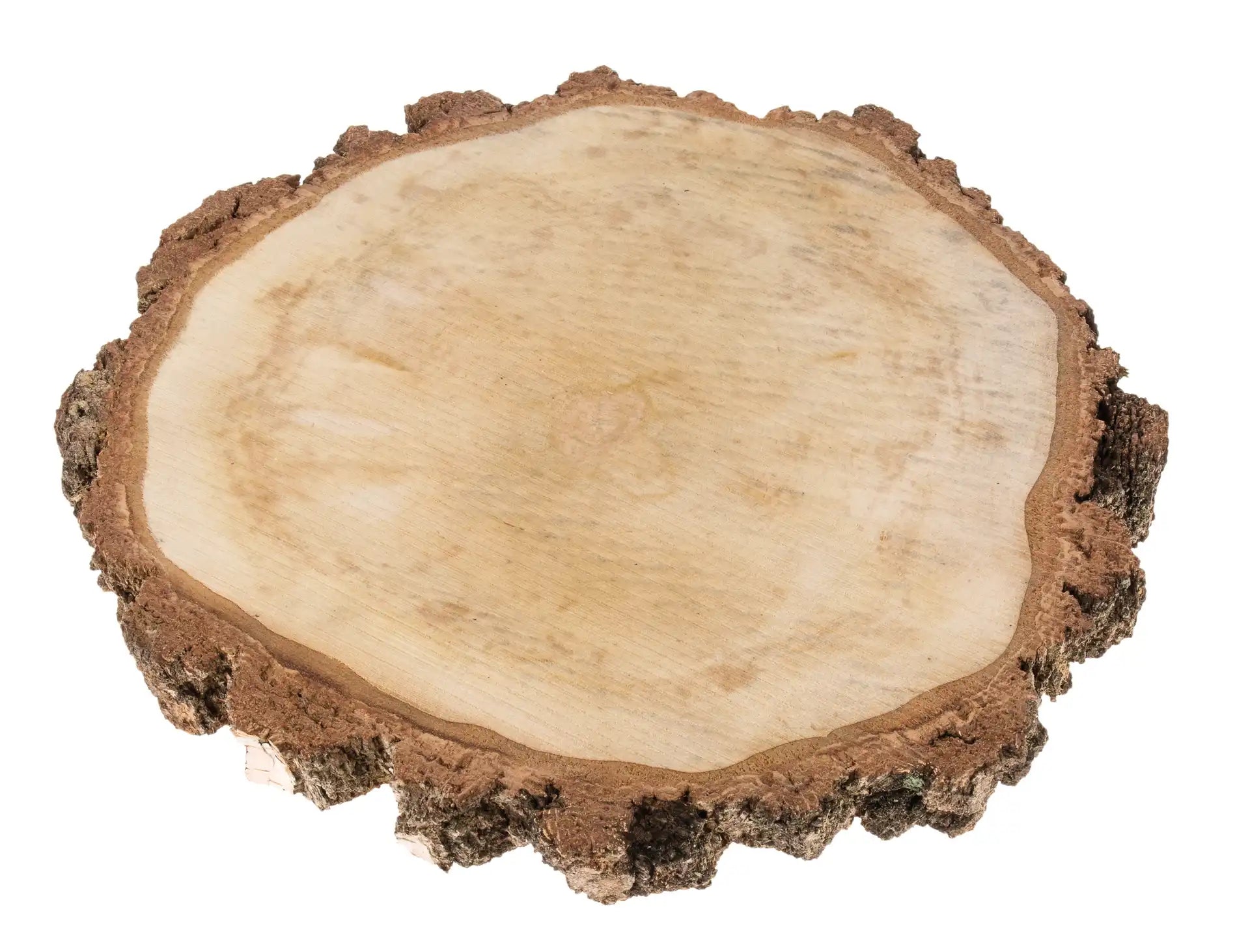 Opiflor Holzrohling, Birke, Natur, Ø 40 cm × 4 cm, 1 Stk.