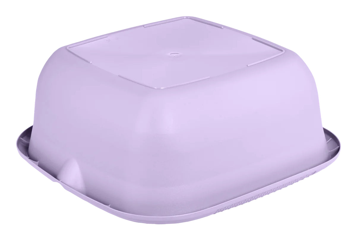 keeeper Schüssel Björk, eckig – 13 l, 38,0 × 38,0 × 15,0 cm, Kunststoff (PP), violett