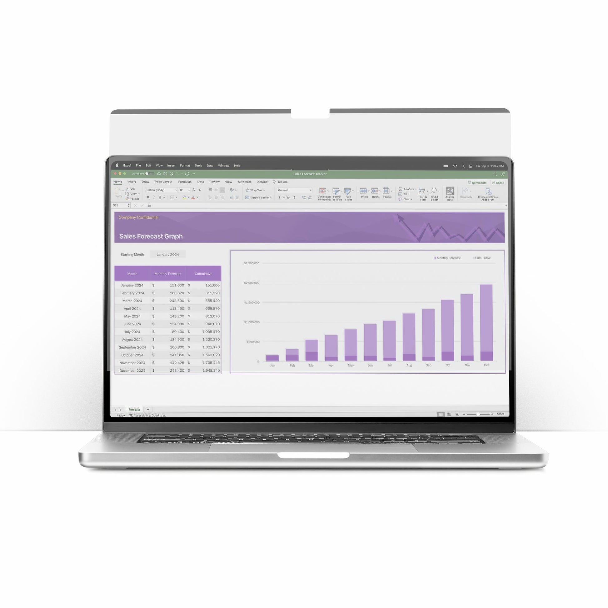 StarTech.com Displayschutz für 13,3" Laptop
