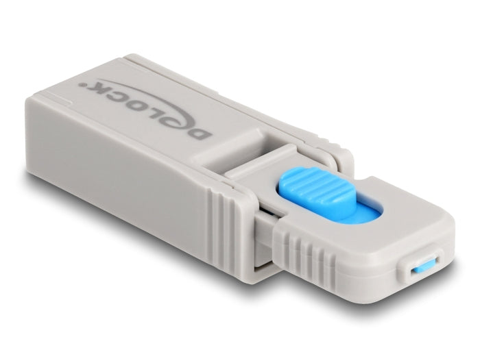 DeLOCK USB-Port-Blocker-Set – Blau/Grau – 5er-Set – für USB-A