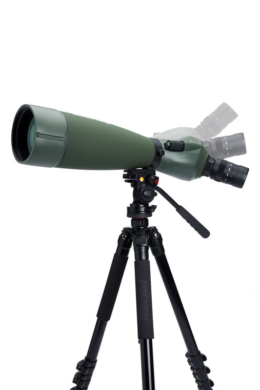 Celestron Regal M2 100ED – 22–67×, 100 mm Objektiv, BaK-4, wasserfest, grün