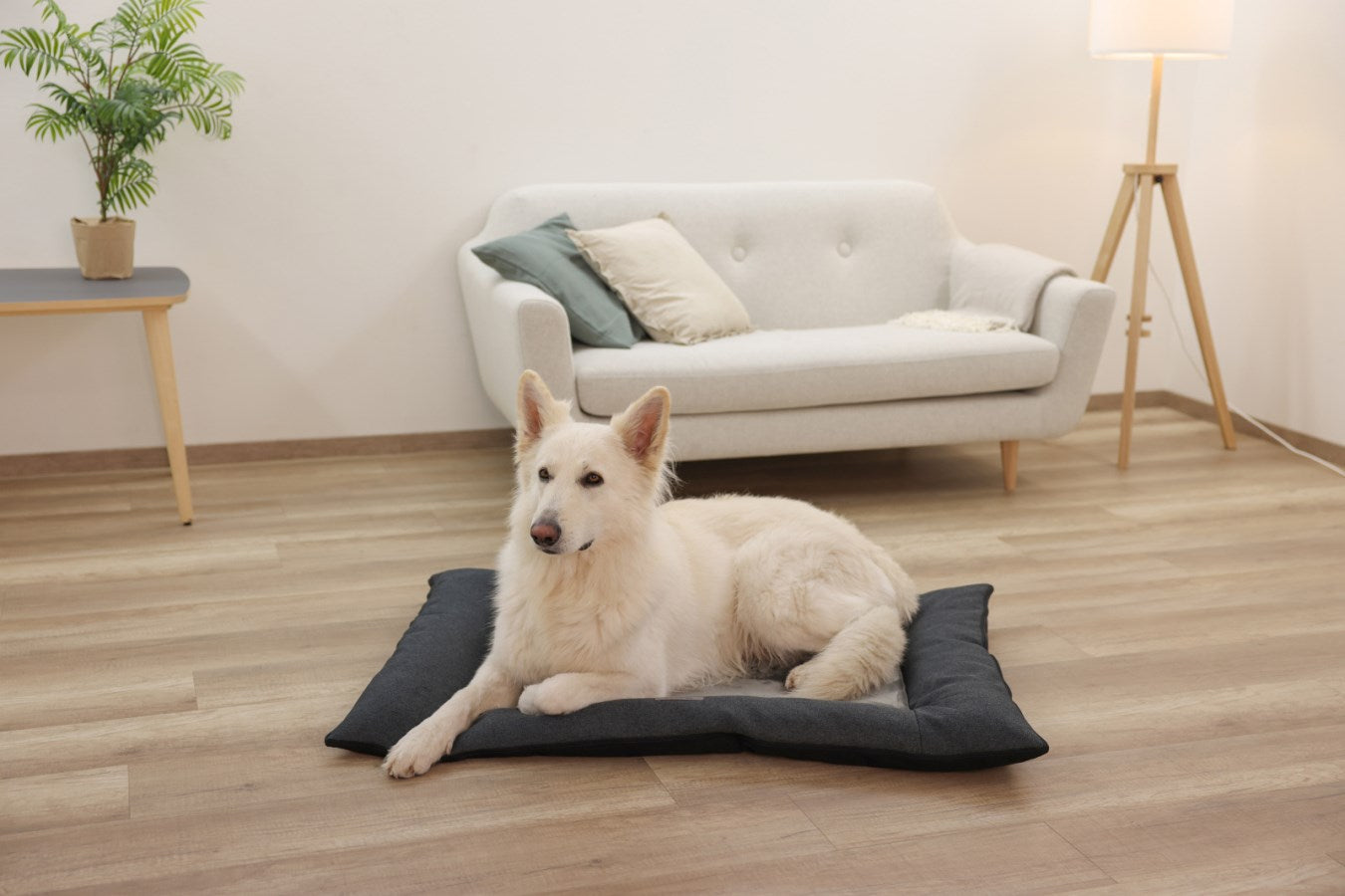 Kerbl Platin Ortho Hundekissen – 70 × 100 × 9 cm, Schaumstoff, abnehmbarer Bezug, Anti-Rutsch-Basis, Grau