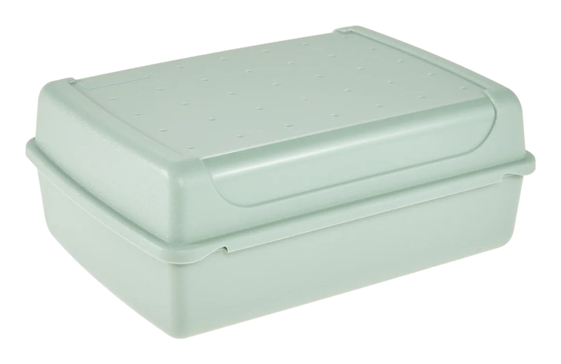 keeeper Click-Box midi Aufbewahrungsbox 1 l – Polypropylen (PP) – transparent/grün – 130 × 70 × 170 mm