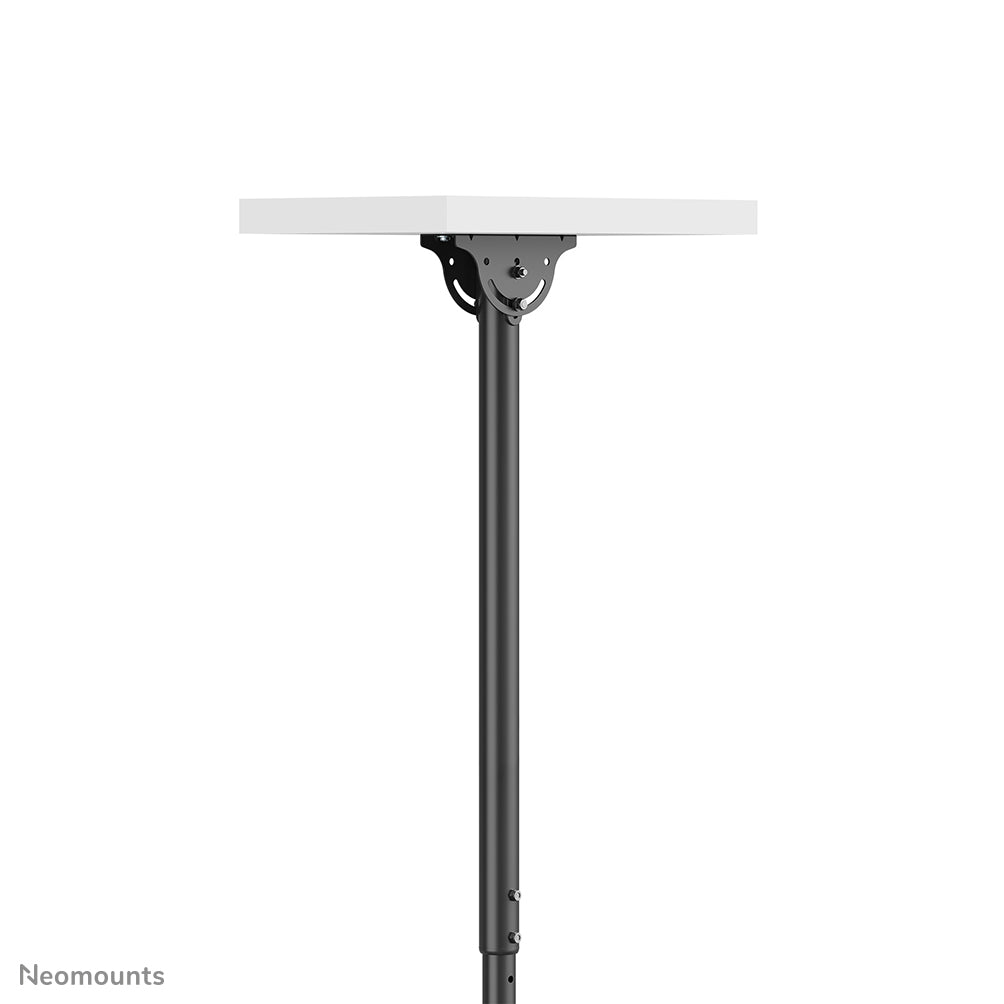 Neomounts Monitor-/TV-Deckenhalterung – CL35-440BL16XL, 37–70", H 250–300 cm