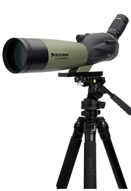 Celestron Ultima 80 A – 20–60×, 80 mm Objektiv, BaK-4, wasserfest, schwarz