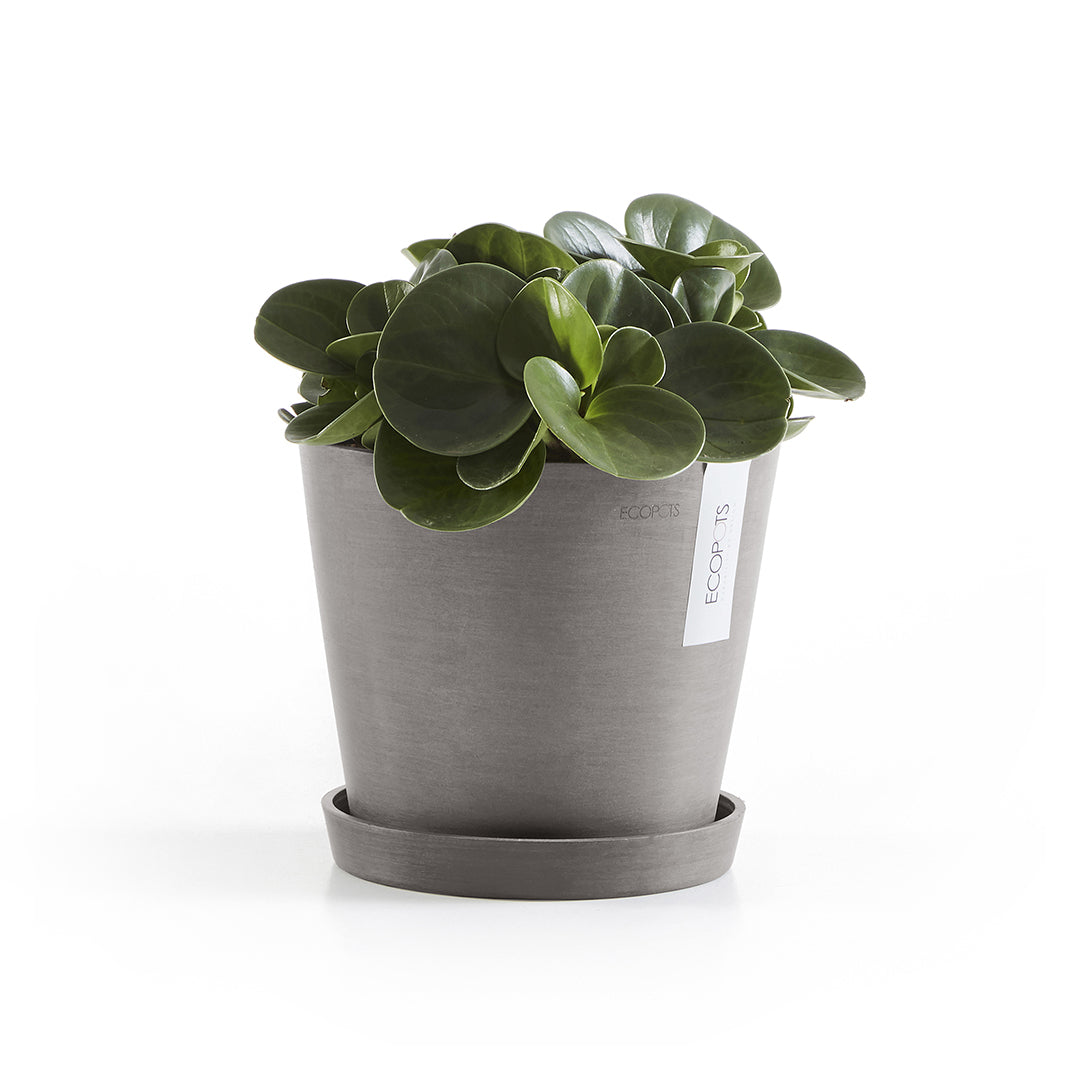 Ecopots Unterteller – Kunststoff, Taupe – Ø 17,5 × 2,5 cm