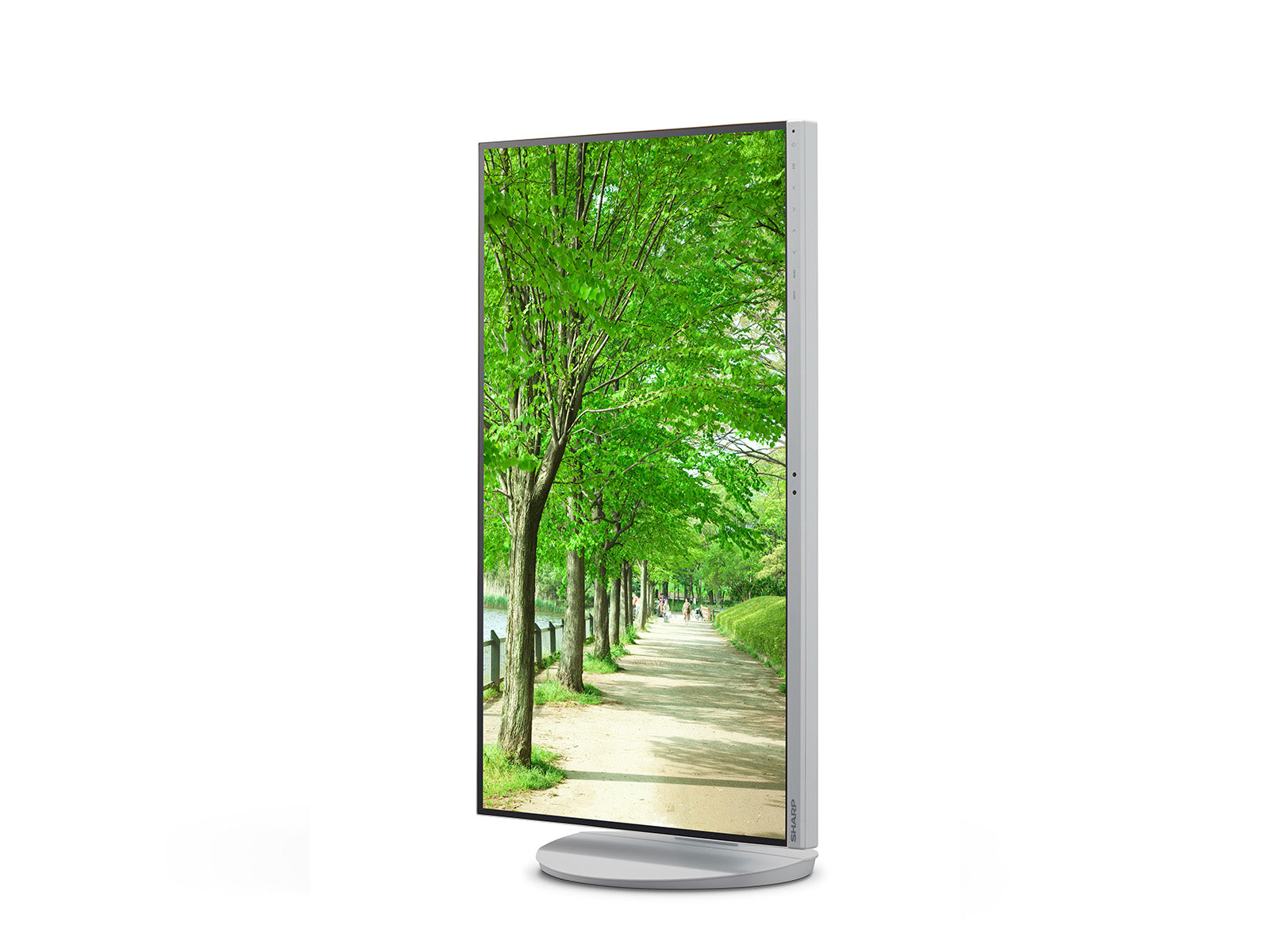 Sharp MultiSync EA272Q – 27", 2560 × 1440 (WQHD), IPS, USB-C 90 W, LAN