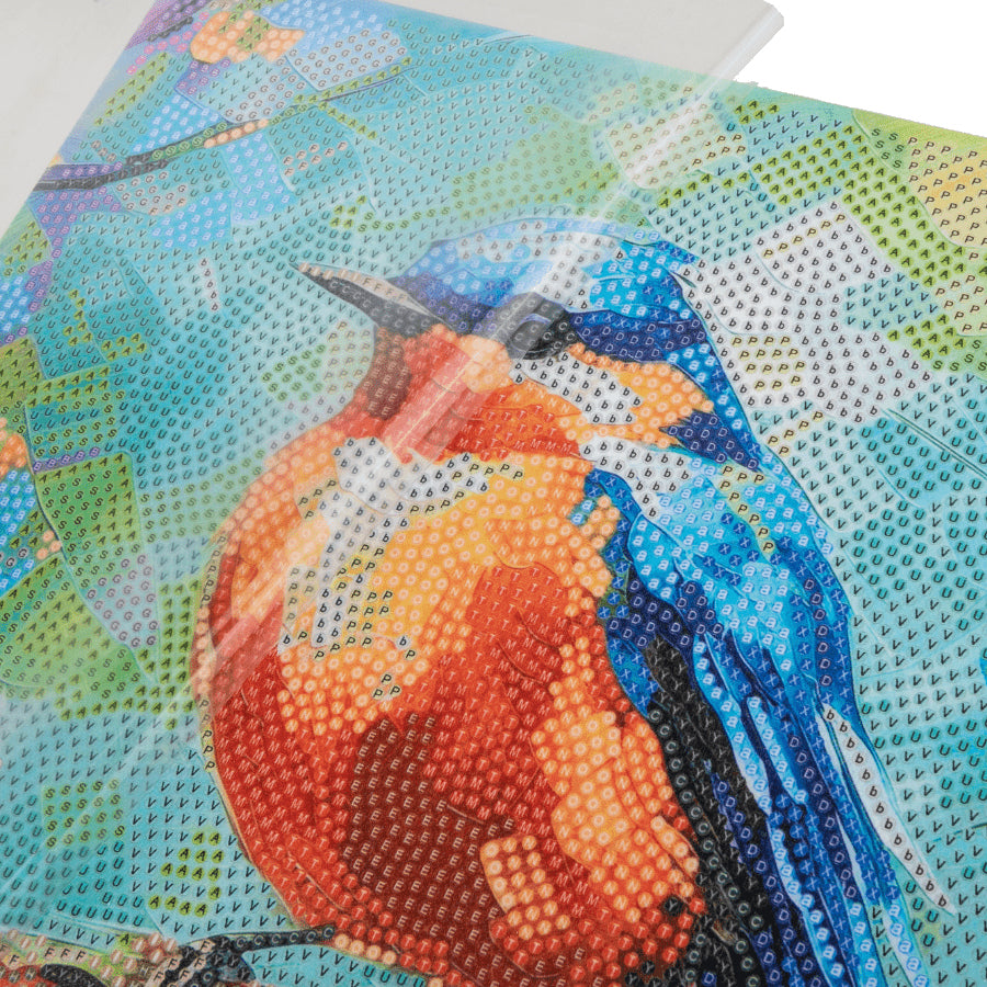 CRAFT Buddy Crystal Art Kit – Diamond Painting Set – Spring Robin – 30 × 30 cm – ab 8 Jahren