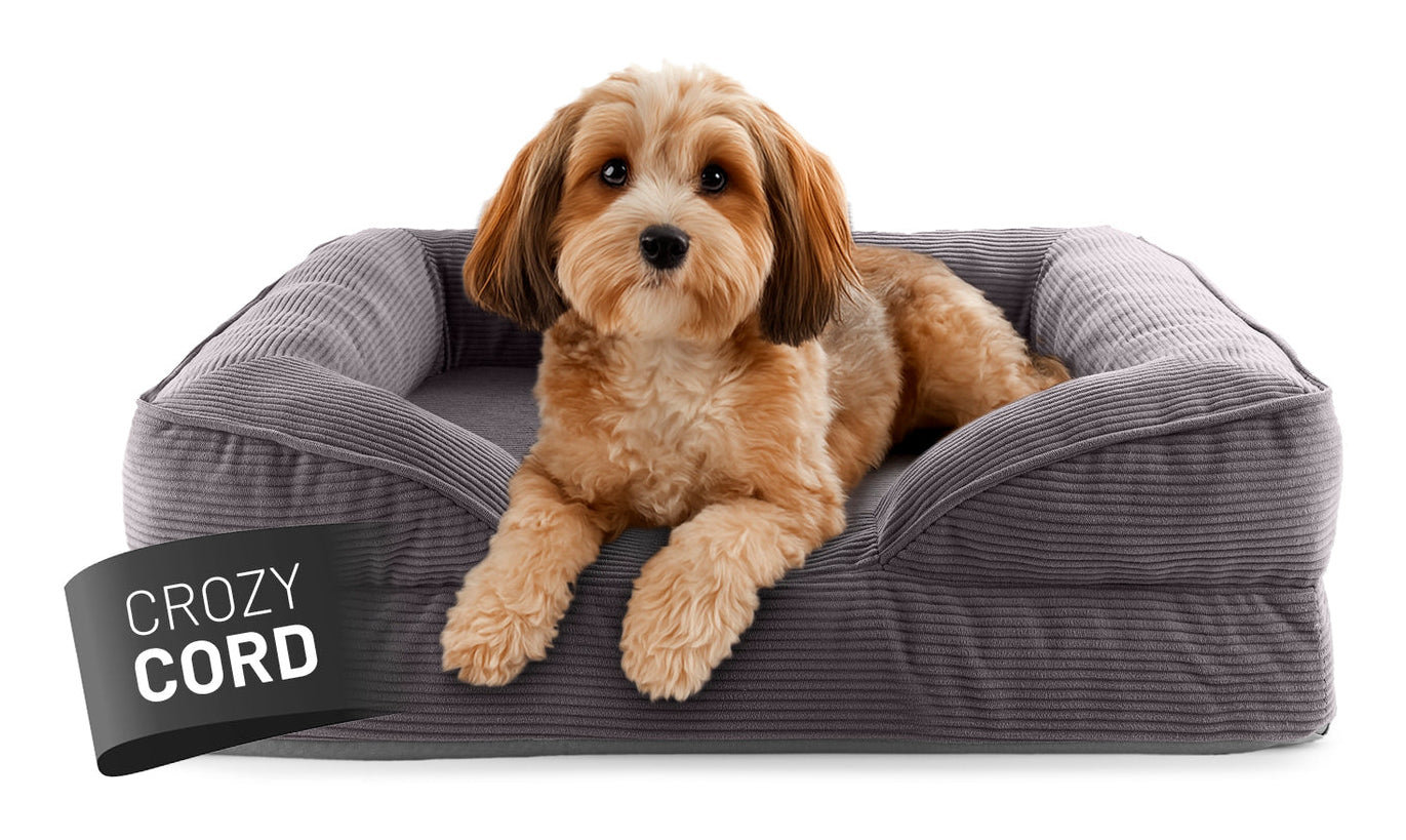 Lumaland Hundebett – 60 × 70 cm, Grau, Polyester