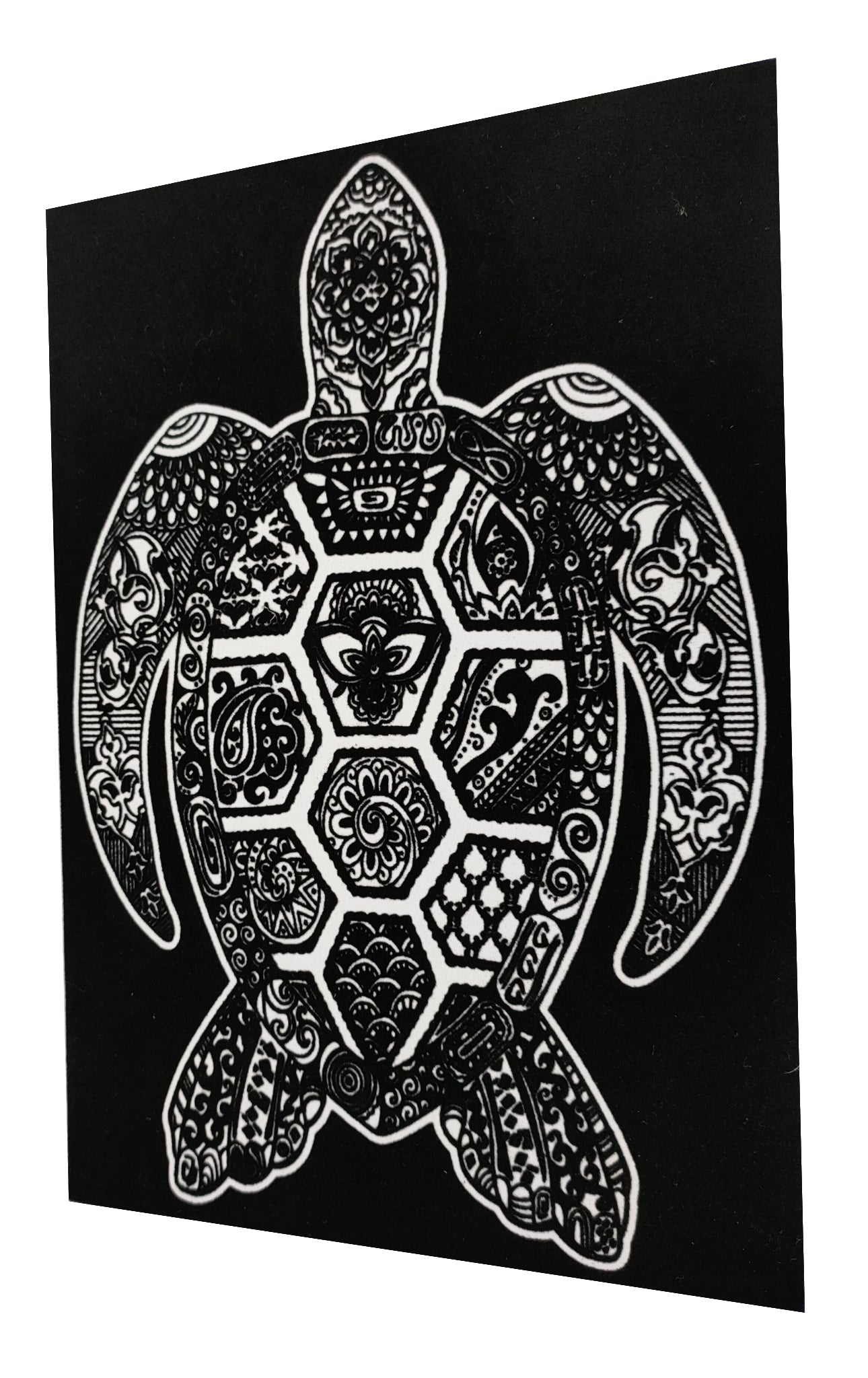 Tataruga Samtbild, Schildkröte, Karton, Samt, Schwarz/Weiss, A4
