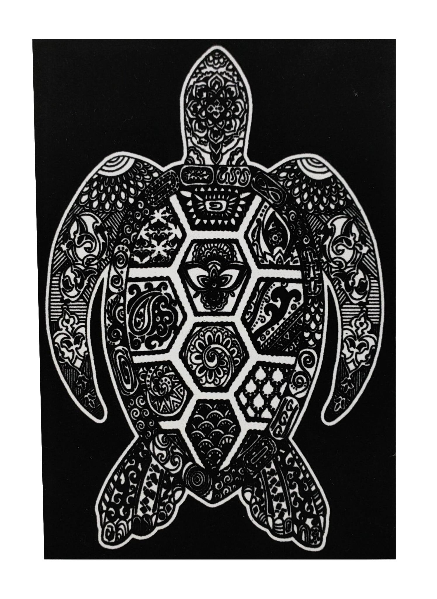 Tataruga Malkarton, Karton, 21 × 29,7 cm, schwarz