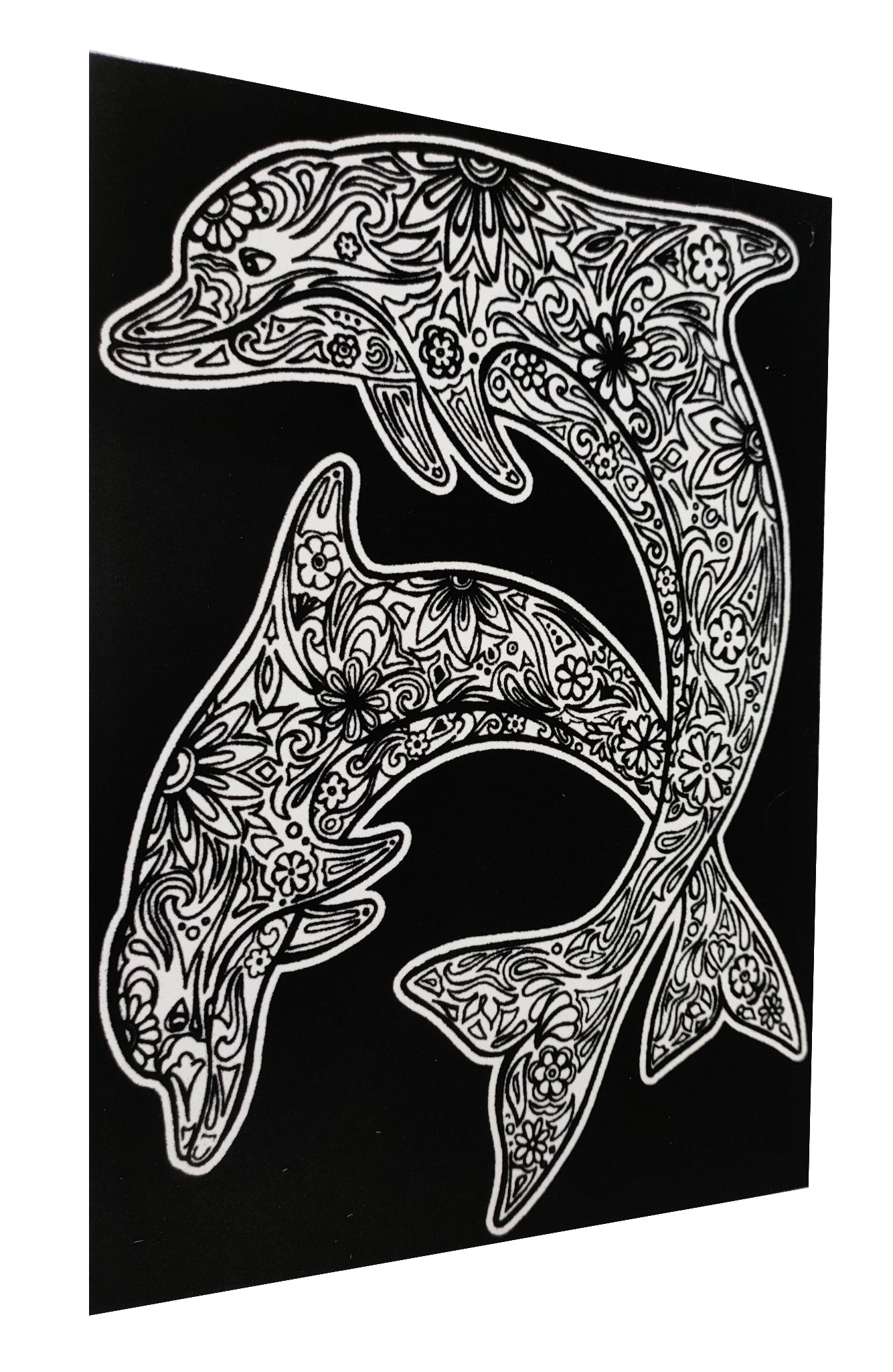 Tataruga Samtbild, Karton, 21 × 29,7 cm, Schwarz