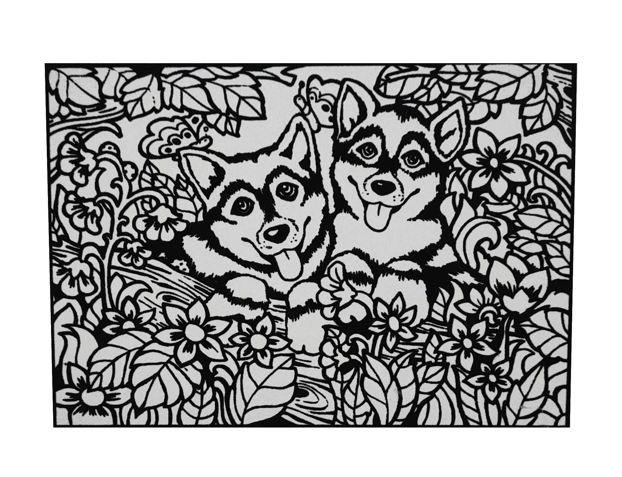 Tataruga Samtbild A4, Karton/Samt, 21 × 29,7 cm, 1 Stk
