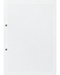 Ingold-biwa Ringbucheinlagen – A4 – kariert 5 mm, mit Rand – 2-Loch – 80 g/m² – 500 Blatt – FSC