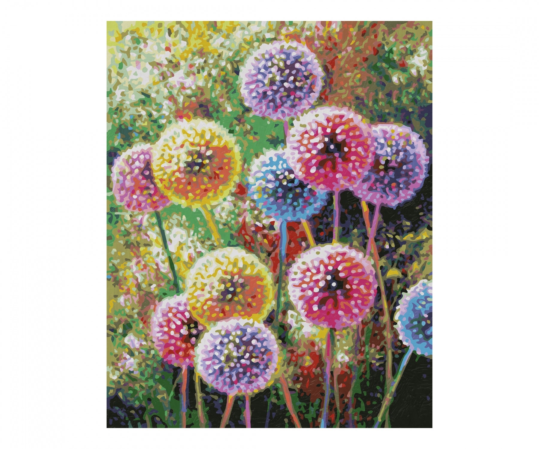 Schipper MNZ – Malen-nach-Zahlen-Set – Blütenfeuerwerk – 40 × 50 cm – ab 14 Jahren