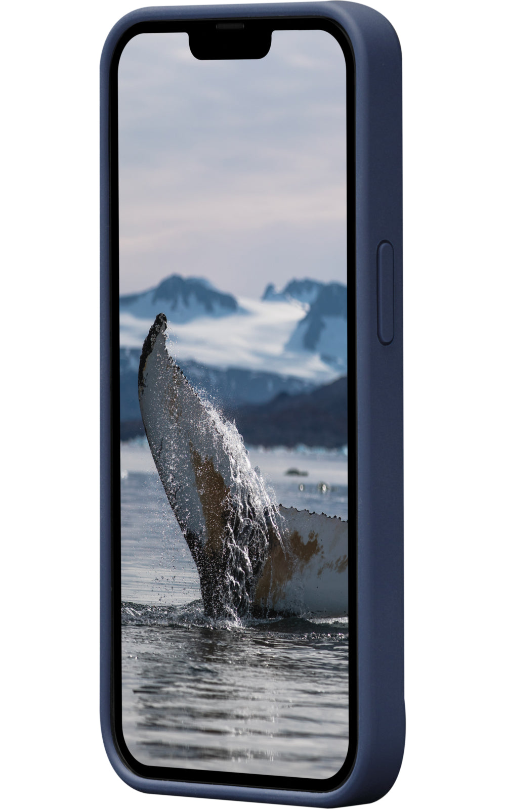 dbramante1928 Costa Rica – Backcover – für Apple iPhone 12/12 Pro, Recycling-Kunststoff, blau