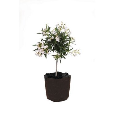 Colibri Topfschutz – 45 × 55 cm, Braun