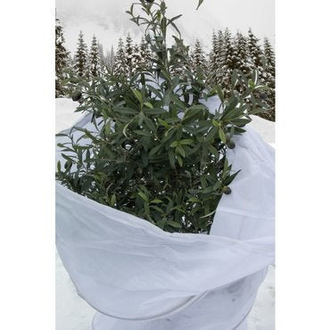 Colibri Winterschutzhaube POP-UP L – 90 × 120 cm, Weiss, Vlies