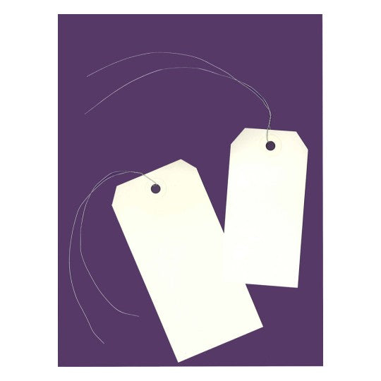 Avery Anhängeetiketten – 60 × 120 mm, Karton 160 g/m², cremefarben, mit Draht, 1'000 Stk.