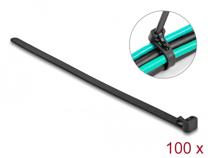 DeLOCK Klett-Kabelbinder 300 × 7,6 mm, Schwarz, 100 Stk.