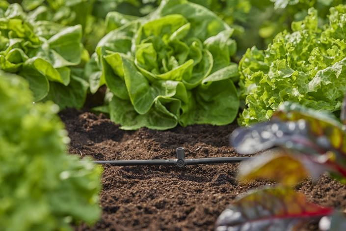 Gardena T-Stück Micro-Drip-System – Länge 3,6 cm, für 4,6 mm Schläuche, Kunststoff, Grau, 1 Stück