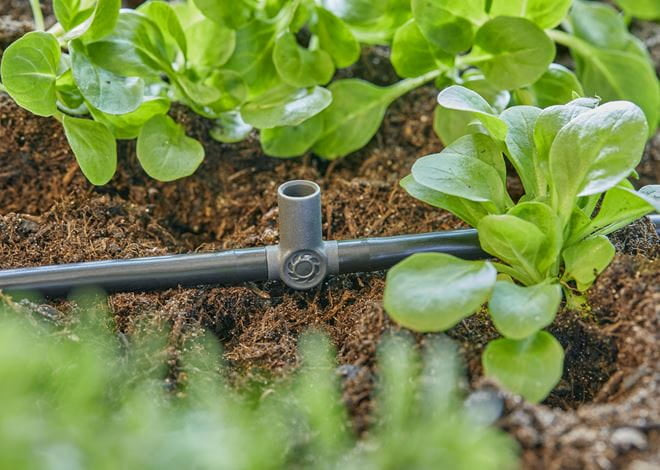 Gardena T-Stück Micro-Drip-System – Länge 3,6 cm, für 4,6 mm Schläuche, Kunststoff, Grau, 1 Stück