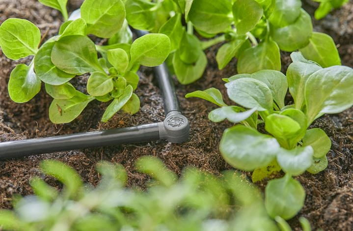 Gardena Knotenverbinder – Schlauch Ø 4,6 mm, 23 mm, Grau, 1 Stk. – für Micro-Drip-System